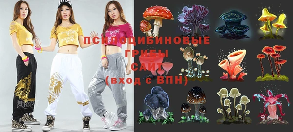 крисы Балахна