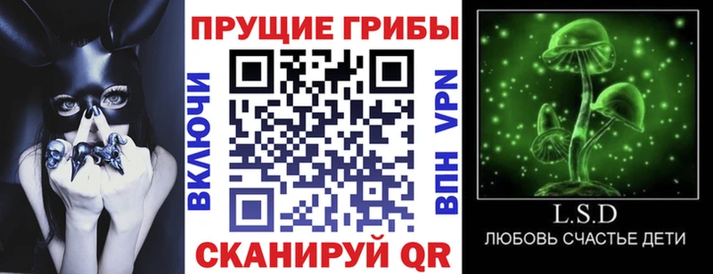 Псилоцибиновые грибы ЛСД  Тара 
